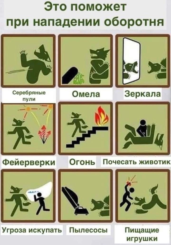 Это поможет при нападении оборотня Зеркала Фейерверки Огонь Почесагьживстик Угроза искупать Пылесосы Пищащие игрушки