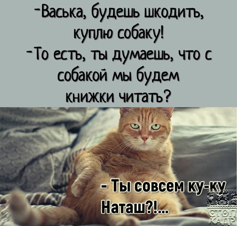 Ваака будеиь шкодитъ куплю собаку То есть ты душшь что с собакой мы будем Книжюи читать _ й 77 Гц
