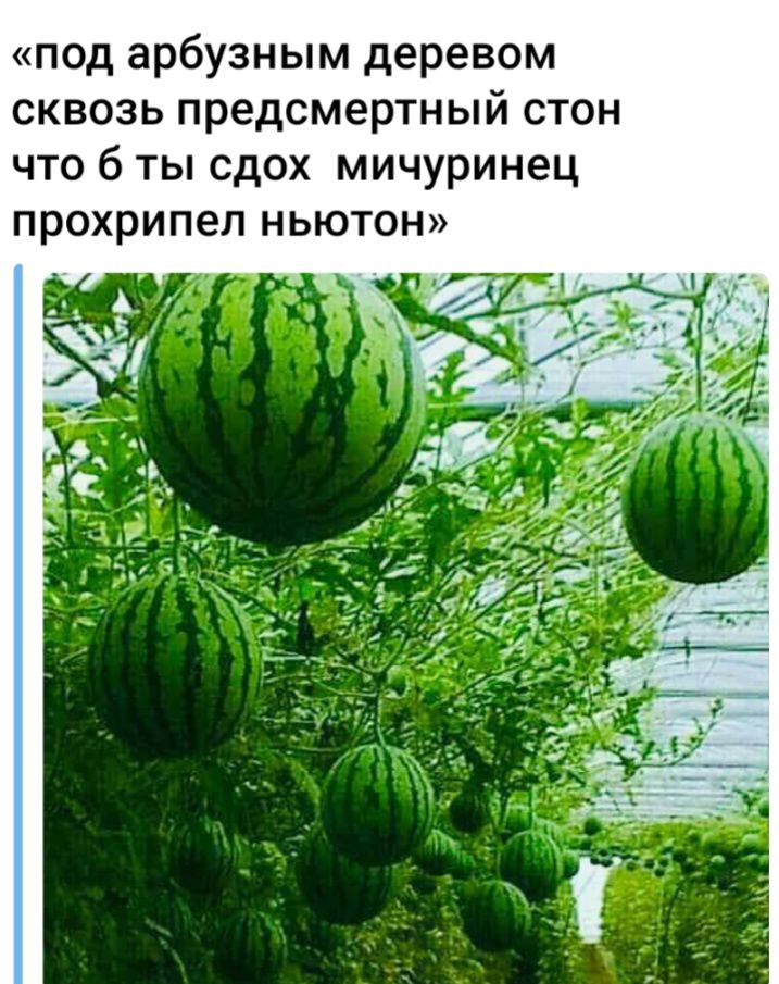 под арбузным деревом сквозь предсмертный стон что б ты сдох мичуринец прохрипел ньютон