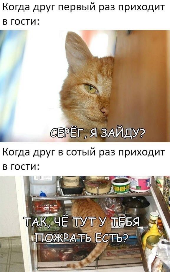Когда друг первый раз приходит в гости ЁРЁГ я ЗАЙДУ Когда друг в сотый раз приходит в гости