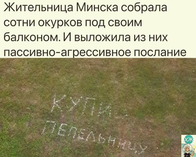 Жительница Минска собрала сотни окурков под своим балконом И выложила ИЗ НИХ ПЭССИВНО ЭГЭССИВНОЭ ПОСЛЗНИЗ