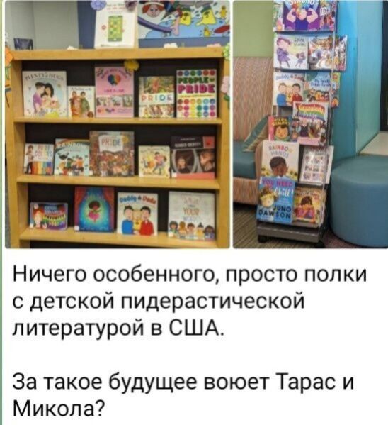 Ничего особенного просто полки с детской пидерастической литературой в США За такое будущее воюет Тарас и Микола