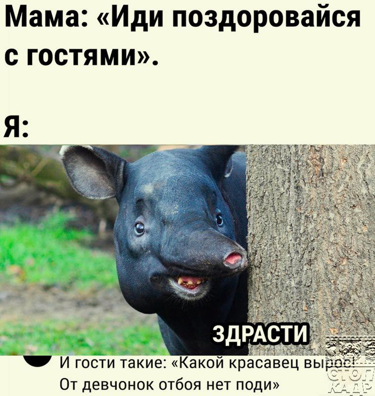 Мама Иди поздоровайся с гостями От девчонок отбоя нет поди