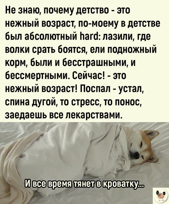 Не знаю почему детство это нежный возраст по моему в детстве был абсолютный Ьага пазили где волки срать боятся ели подкожный корм были и 6есстрашными и бессмертными Сейчас это нежный возраст Поспап устал спина дугой то стресс то понос заедаешь все лекарствами И всевремя тянет в кроватку