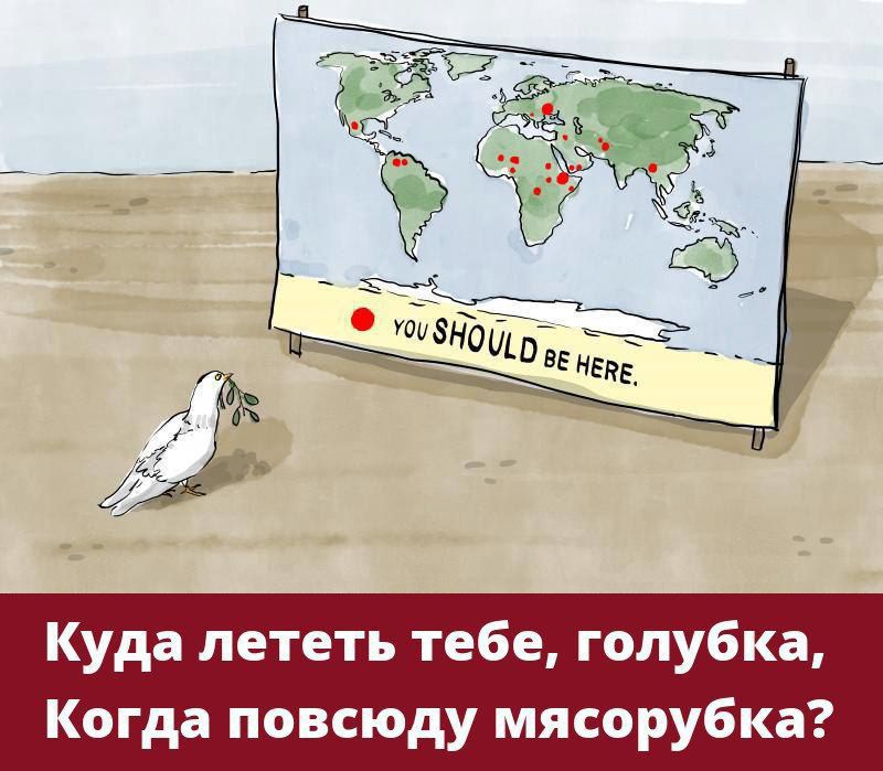 Куда лететь тебе гопубка Когда повсюду мясорубка
