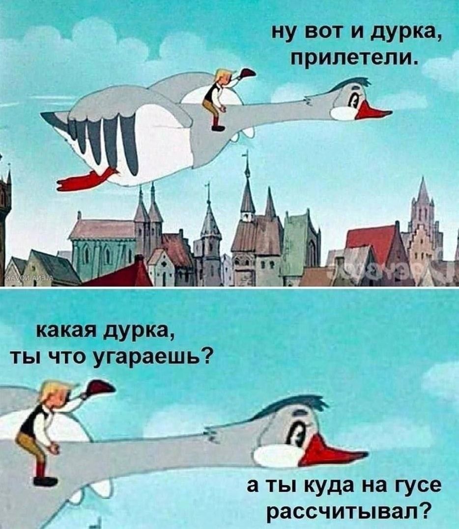 ну вот и дУРКа прилетели какая дУРКа ты что угараеш ь а ты куда на гусе рассчитывал