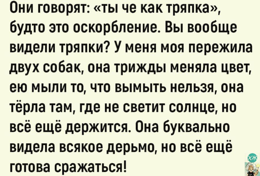 Они говорят ты че как тряпка будто это оскорбление Вы вообще видели тряпки У меня моя пережила двух собак она трижды меняла цвет ею мыли то что вымыть нельзя она тёрпа там где не светит солнце но всё ещё держится Она буквально видела всякое дерьмо но всё ещё готова сражаться