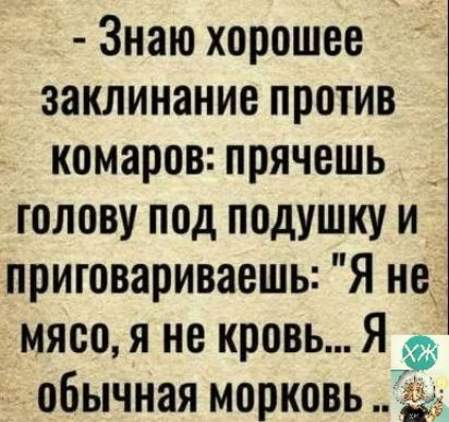 Знаю хорошее заклинание против комаров прячешь голову под подушку и приговариваешь Я не мясо я не кровь Я обычная морковь