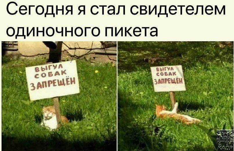 СЕГОДНЯ Я стал свидетелем