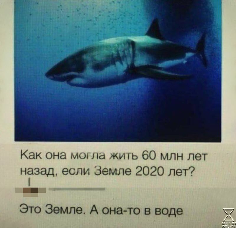 Как она могла жить 60 млн лет назад если Земле 2020 лет Это Земле А она то в воде
