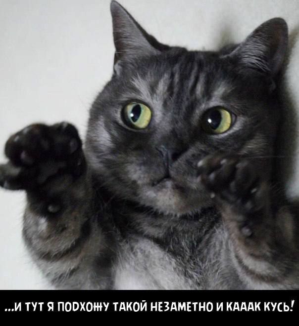 И ТУТ Я ПООХОМУ ТАКОЙ НЕЗАМЕТНО И КАААК КУСЬ