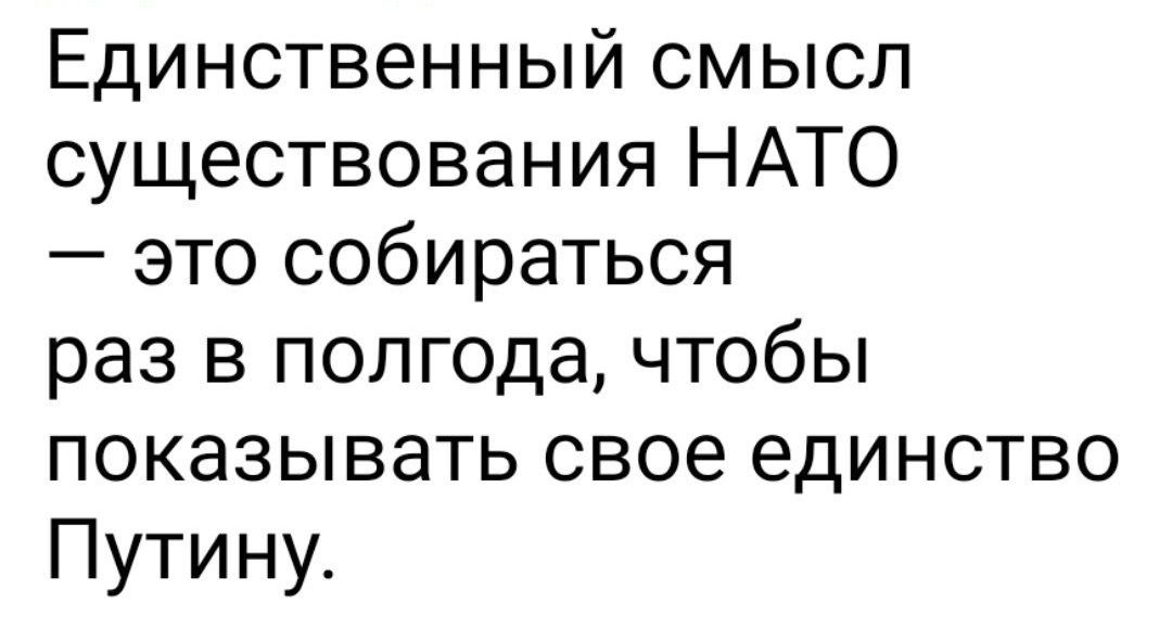 Единственный смысл существования НАТО это собираться раз в полгода чтобы показывать свое единство Путину