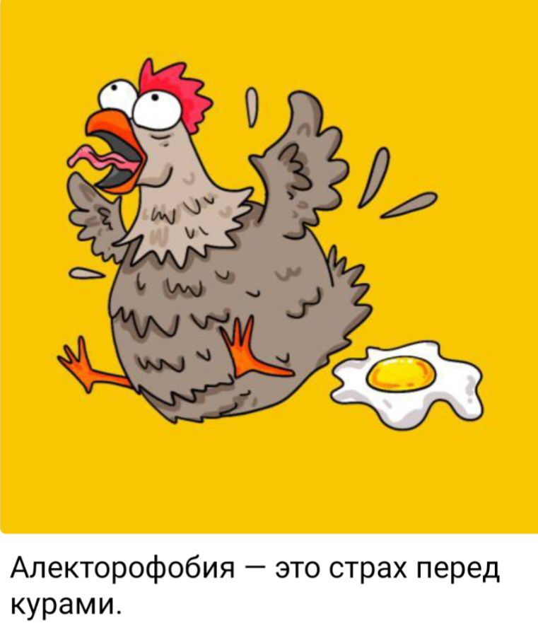 Апекторофобия это страх перед курами