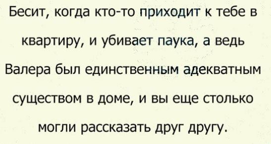 Бесит когда кто то приходит к тебе в квартиру и убивает паука а ведь Валера был единственным адекватным сущесгвом в доме и вы еще столько МОГЛИ рассказать ЦРУГ другу