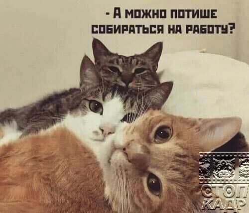 д МПЖИП ШШ ЕПЕИРЯТЬПП Нд ШШШ