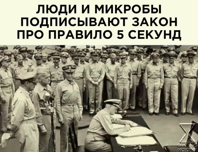ЛЮДИ И МИКРОБЫ ПОДПИСЫВАЮТ ЗАКОН ПРО ПРАВИЛО 5 СЕКУНД