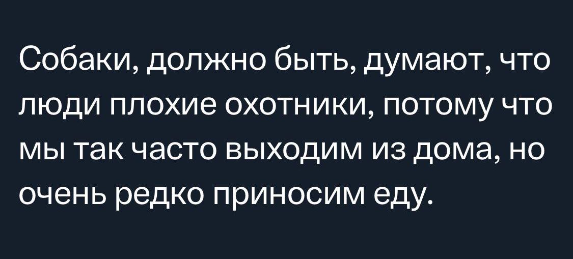 Собаки должно быть думают что люди плохие охотники потому что МЫ ТЭК ЧЭСТО ВЫХОДИМ из Дома НО очень редко приносим еду