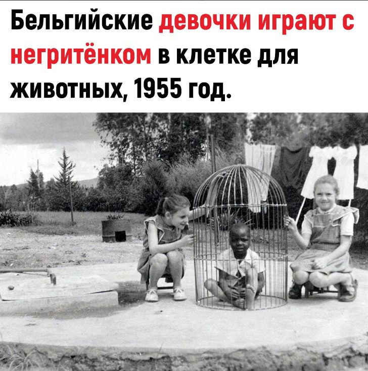 Бельгийские в клетке для животных 1955 год