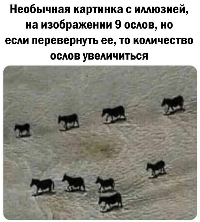 Необычная картинка имюзией на изображении 9 ослов но если перевернуть ее то количество ослов увеличиться