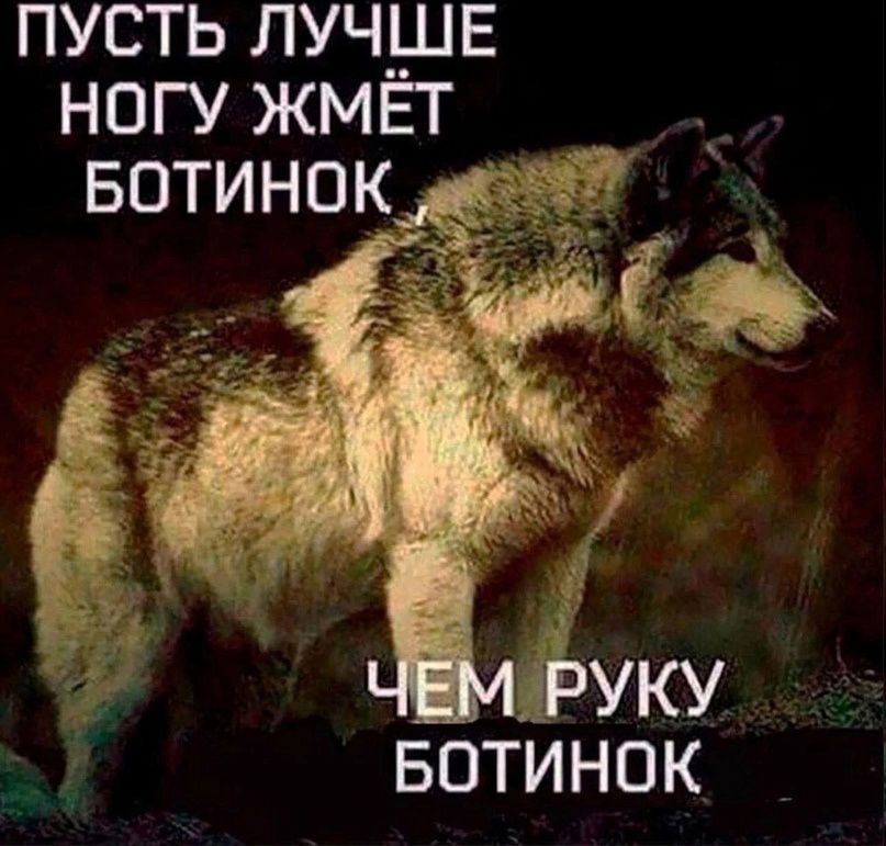 ПУСТЬ ЛУЧШЕ НОГУКМЕТ БОТИНОК4 БОТИНОК