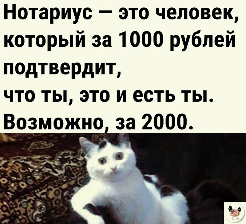 Нотариус это человек который за 1000 рублей подтвердит что ты это и есть ты Возможно за 2000