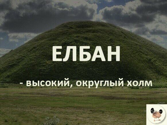 ид д ЕЛБАН ВЫСОКИЙ округлый ХОЛМ