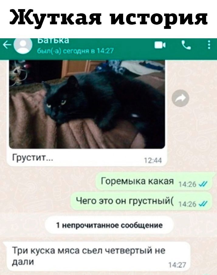 Жуткая история 6 М Местам ПП Грустит Горемыка какая Чего это он грустный _ _ епршигаииое сообщение Три куска мяса СЬЕП ЧЁТЕЁРТЫИ не дапи