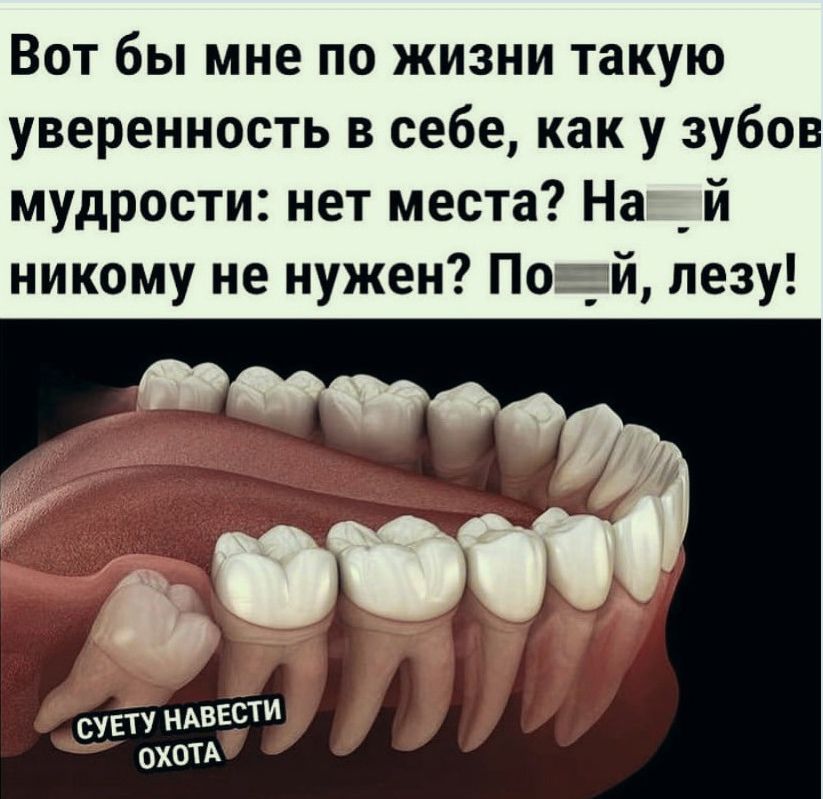 Вот бы мне по жизни такую уверенность в себе как у зубов мудрости нет места На _й никому не нужен По _ й лезу