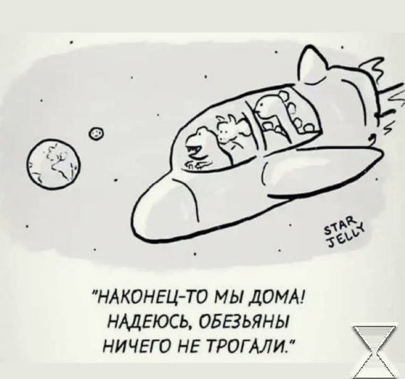 НАКОНЕЦ ТО МЫ ДОМА НАДЕЮСЬ ОБЕЗЬЯНЫ НИЧЕГО НЕ ТРОГАЛИ