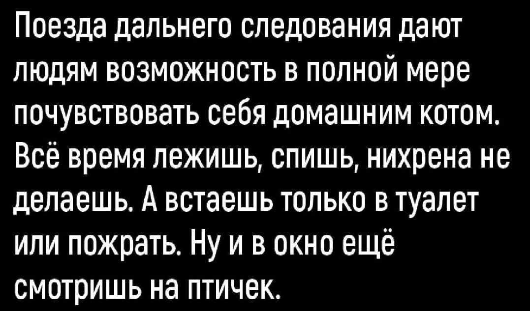 Поезда дальнего следования дают людям возможность в полной мере почувствовать себя домашним котом Всё время лежишь спишь нихрена не делаешь А встаешь только в туалет ипи пожрать Ну и в окно ещё смотришь на птичек