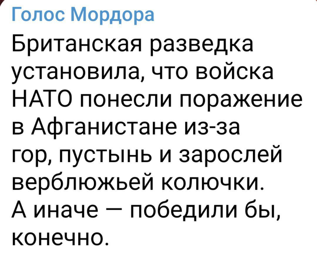 Голос Мордора Британская разведка установила что войска НАТО понесли поражение в Афганистане изза гор пустынь и зарослей верблюжьей колючки А иначе победили бы конечно