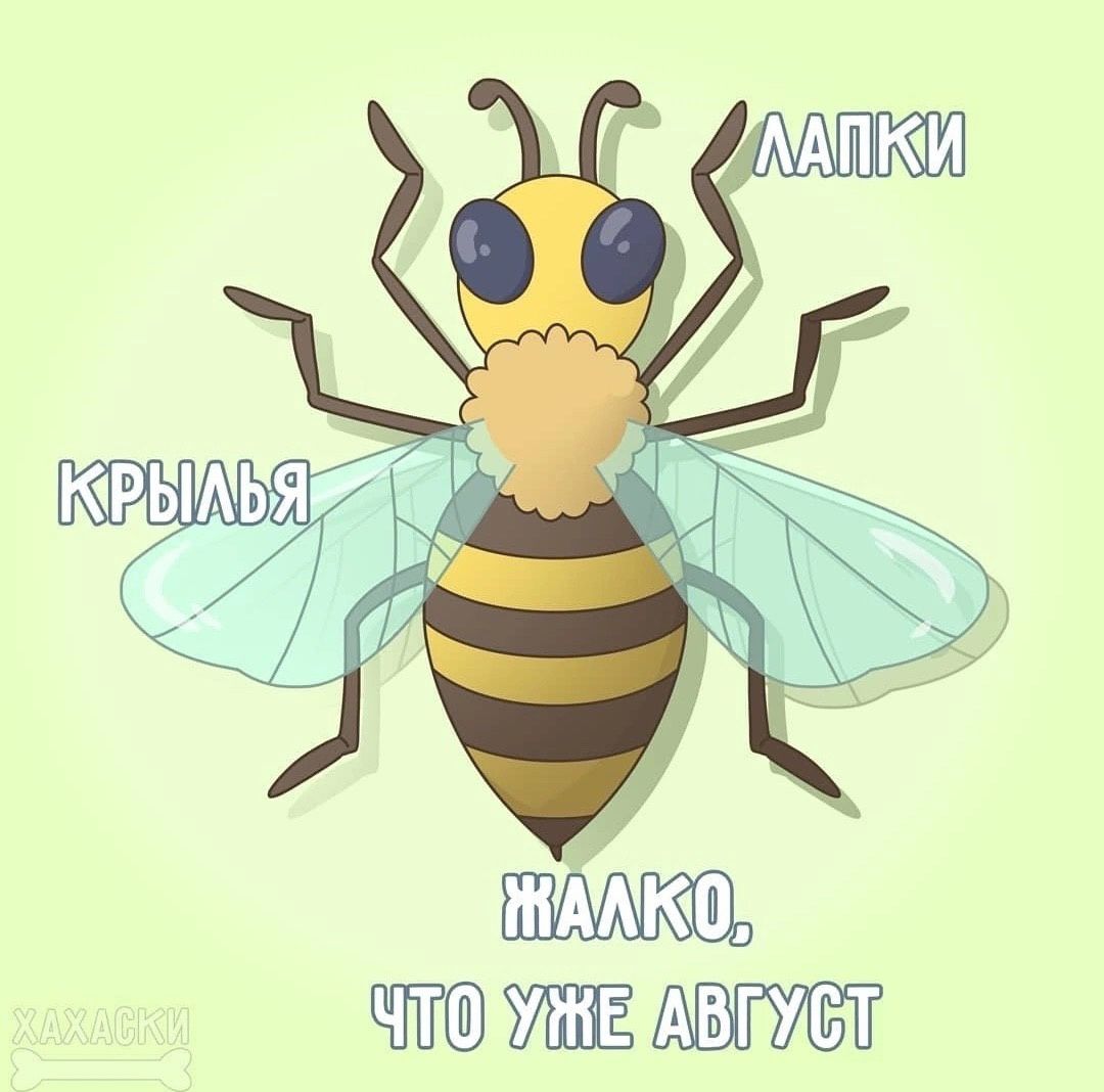 о ПОВУНЕУАВ ТР ЬЛ