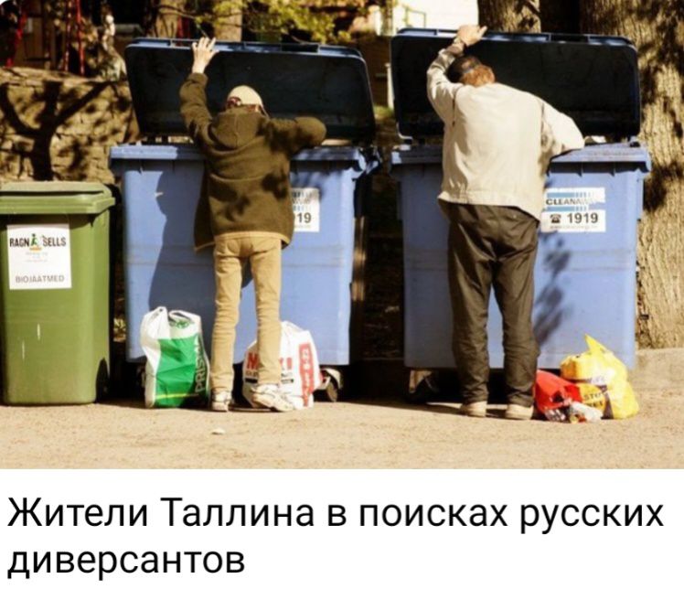 Жители Таппина в поисках русских диверсантов