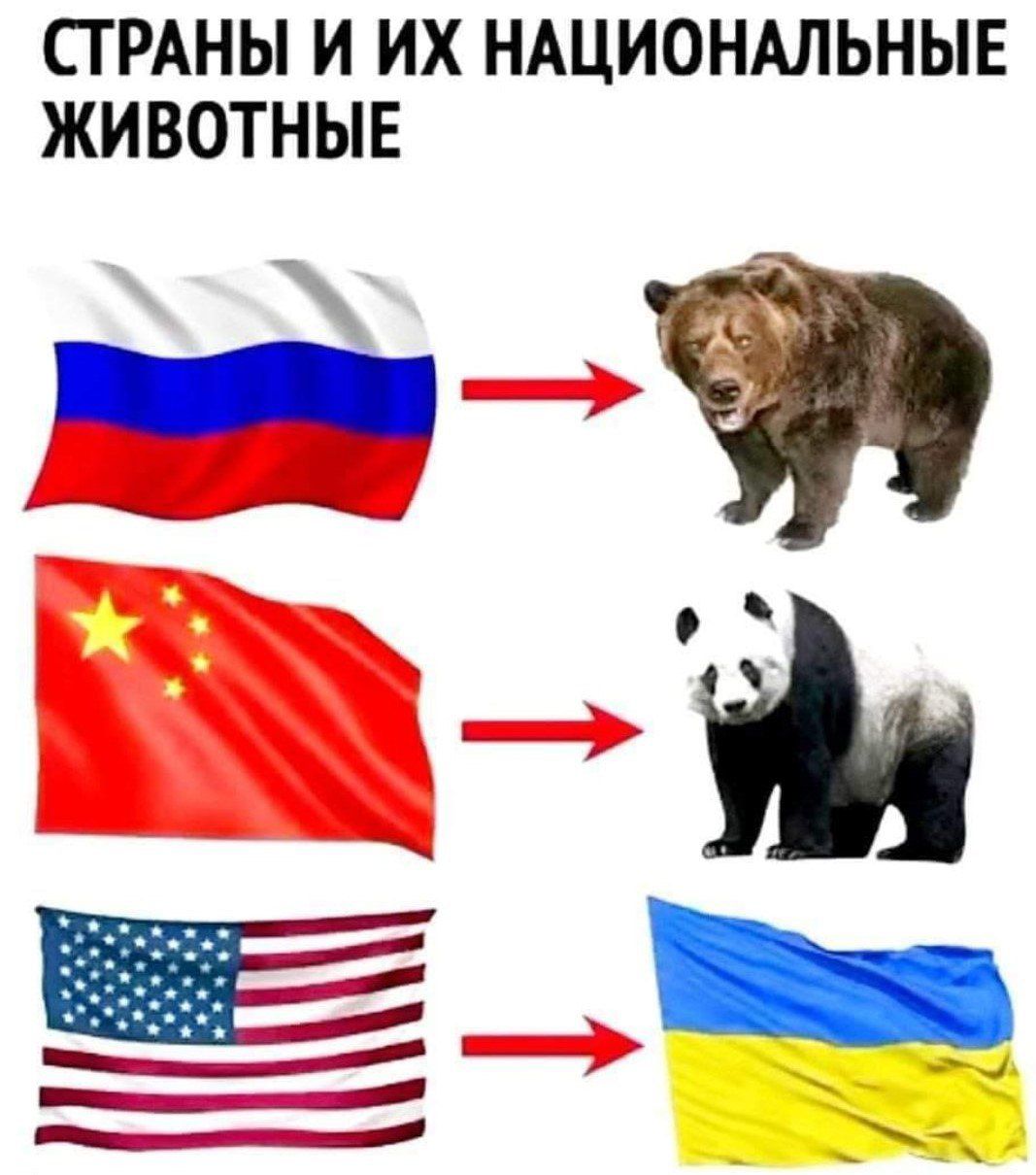 СТРАНЫ И ИХ НАЦИОНАЛЬНЫЕ ЖИВОТНЫЕ
