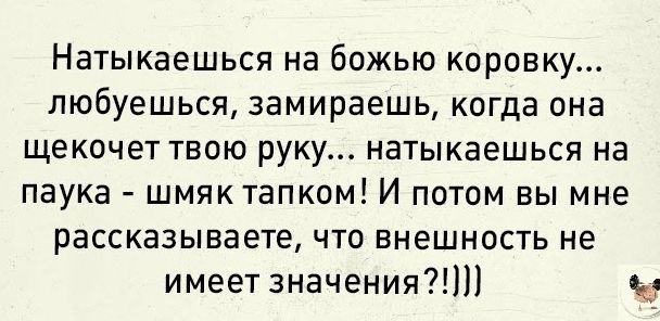 Натыкаешься на божью коровку любуешься замираешь когда она щекочет твою руку натыкаешься на паука шмяктапком И потом вы мне рассказываете что внешность не имеет значения