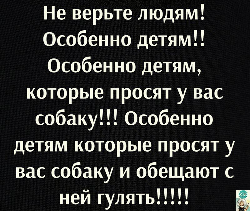 Не верьте людям Особенно детям Особенно детям которые просят у вас собаку Особенно детям которые просят у вас собаку и обещают с ней гулять