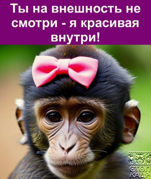 Ты на внешность не смотри я красивая внутри