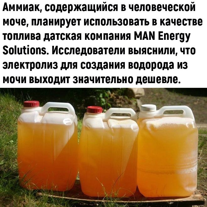 Аммиак содержащийся в человеческой моче планирует использовать в качестве топлива датская компании МАМ Епегцу Зошсіопз Исследователи выяснили что ЗЛЕКТРОЛИЗ для создания водорода ИЗ МПЧИ ВЫХОДИТ значительно дешевле