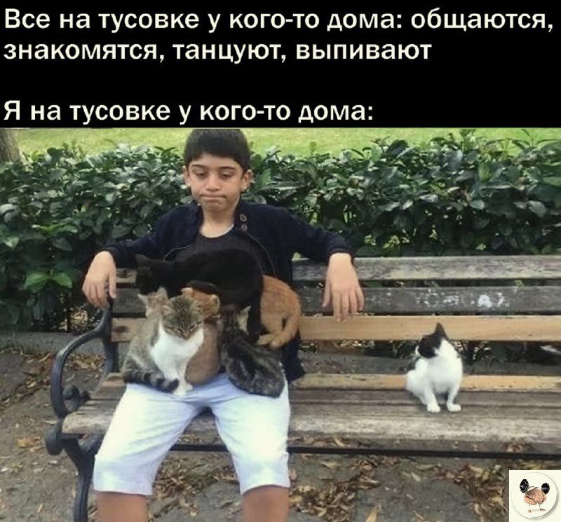 Все на тусовке у когсно дома общаются знакомятся танцуют выпивают Я на тусовке у КОГО ТО дома