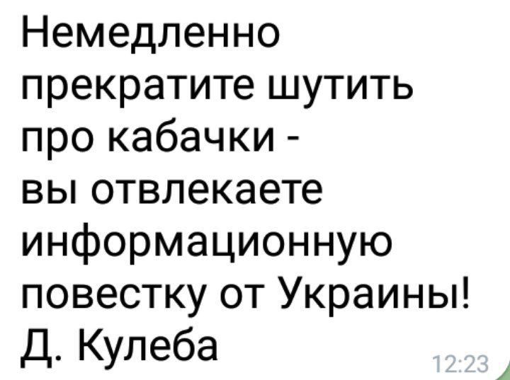 Немедленно прекратите шутить про кабачки ВЫ отвлекаете информационную повестку от Украины Д Кулеба