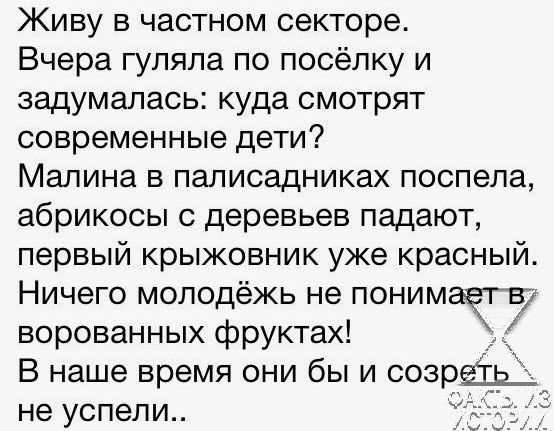Живу в частном секторе Вчера гуляла по посёлку и задумалась куда смотрят современные дети Малина в паписадниках поспела абрикосы с деревьев падают первый крыжовник уже красный Ничего молодёжь не понимаЧг7 ворованных фруктах к В наше время они бы и созрщ не успели
