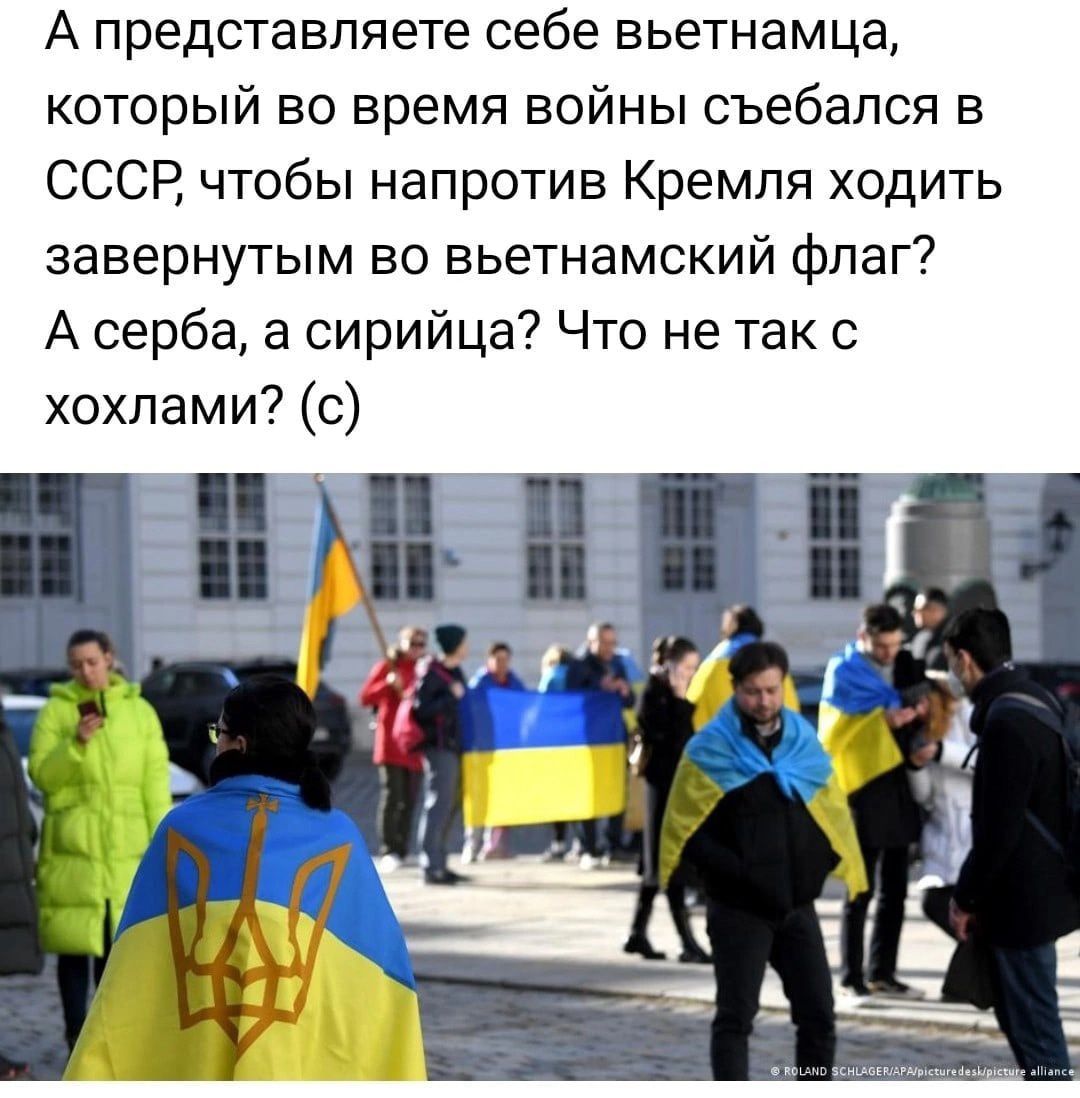 А представляете себе вьетнамца который во время войны съебапся в СССР чтобы напротив Кремля ходить завернутым во вьетнамский флаг А серба а сирийца Что не так с хохлами с