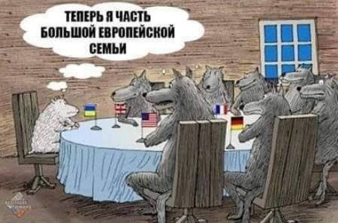 пит 7