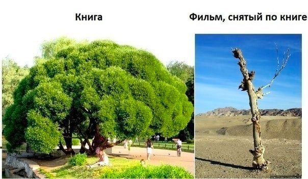 Фильм снятый по книге