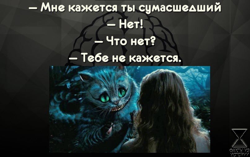 Мис кажется ты симсшиший Нет Что ист _ Тсбс но квжстся