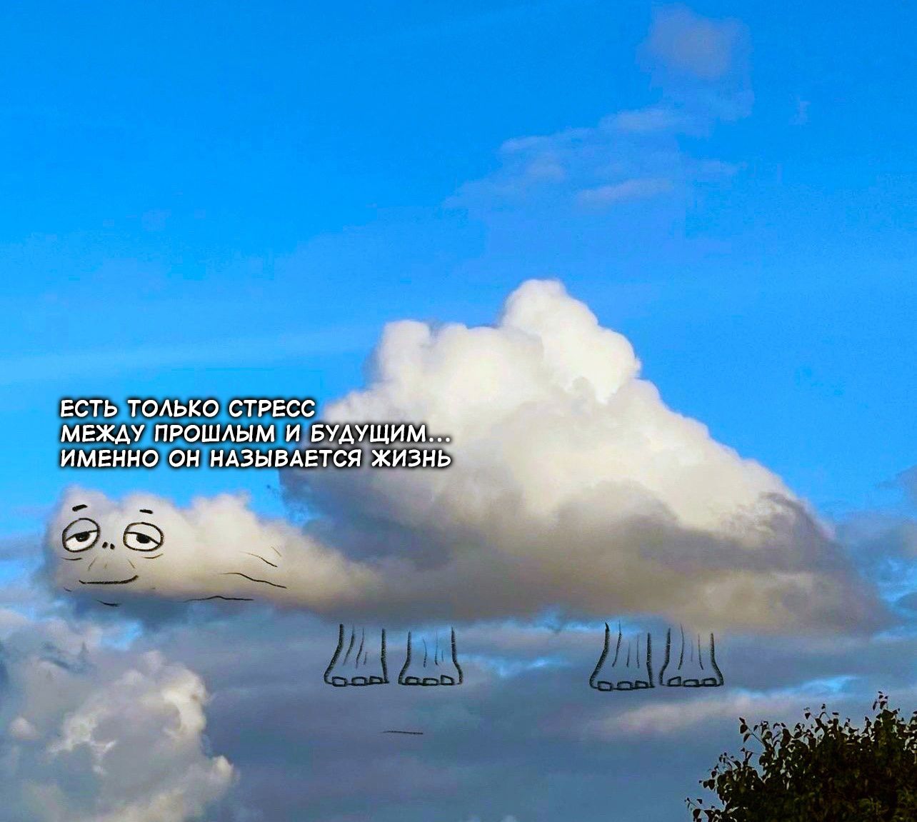шь р