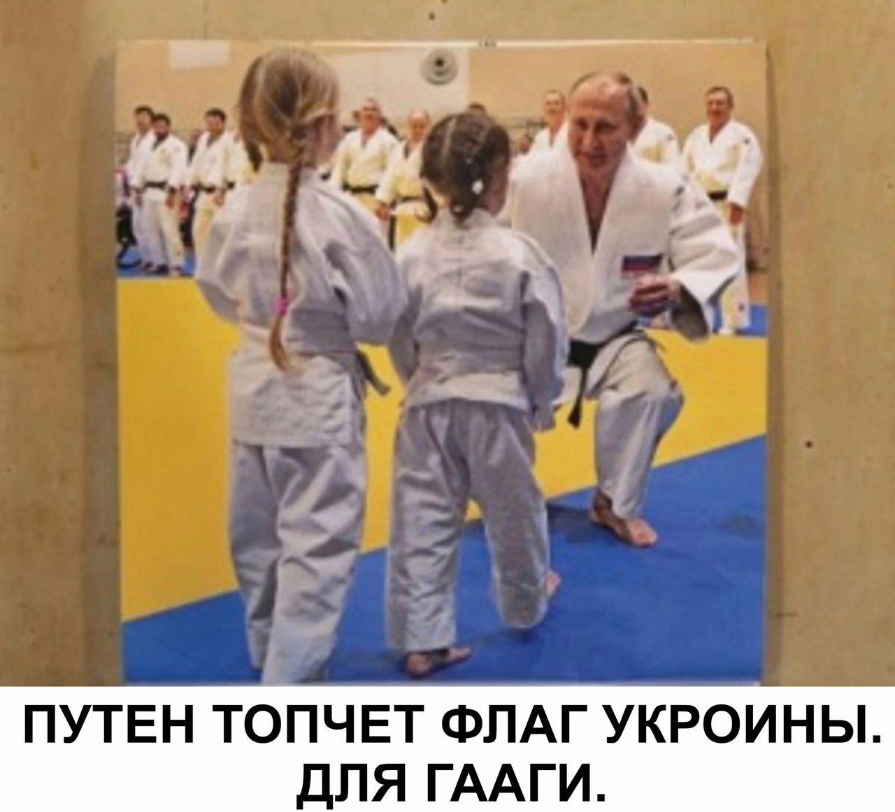 ПУГЕН ТОПЧЕТ ФПАГ УКРОИНЫ дЛЯ ГАА