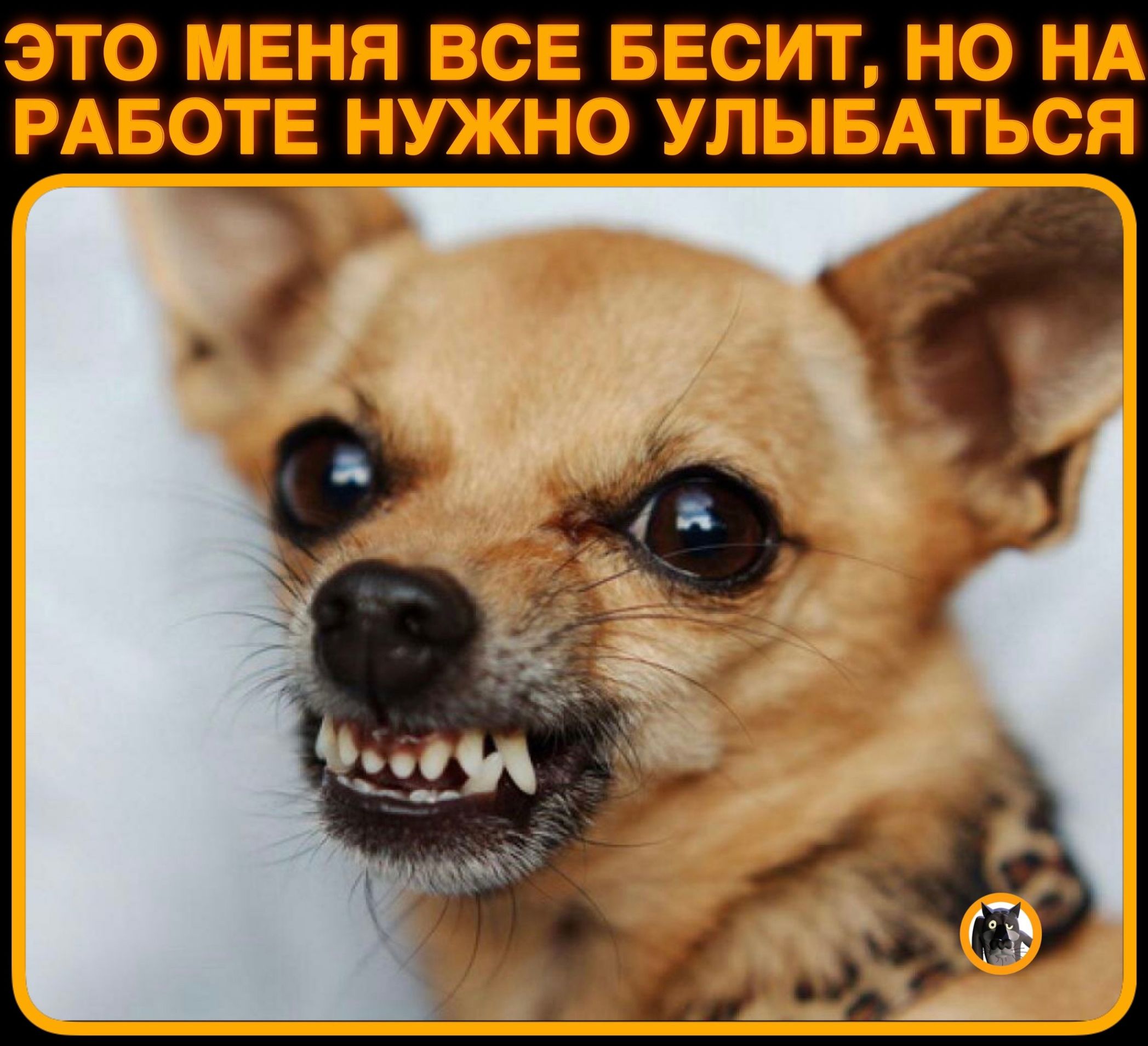 ЭТО МЕНЯ СЕ БЕСПГ НО НА РАБОТЕ КУЖЮ УШБАТЪСЯ