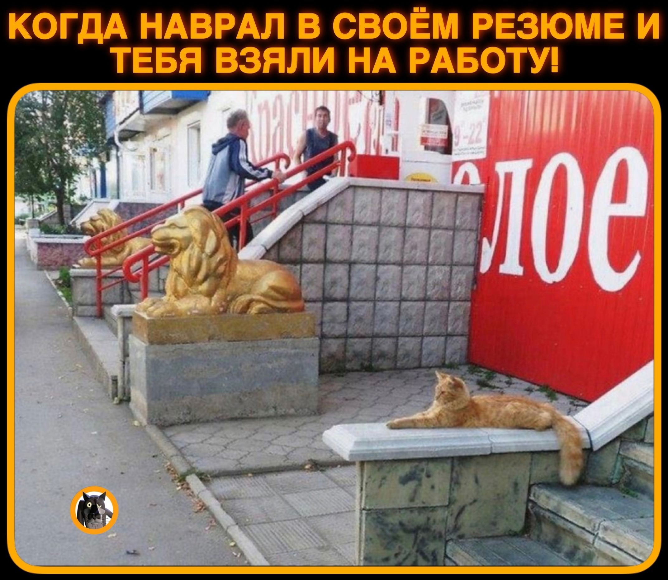 КОГДА НАПРАЛ СВОЕМ РЕЗЮМЕ И ТЕБЯ ПЗЯЛИ НА РАЕОТУ