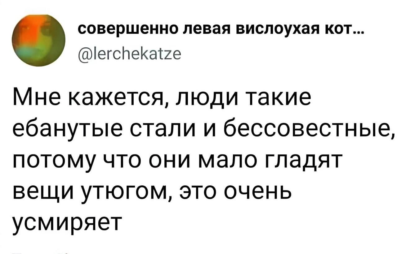 совершенно левая вислоухая кот іегспеКапе Мне кажется люди такие ебанутые стали и бессовестные потому что они мало гладят вещи утюгом это очень усмиряет